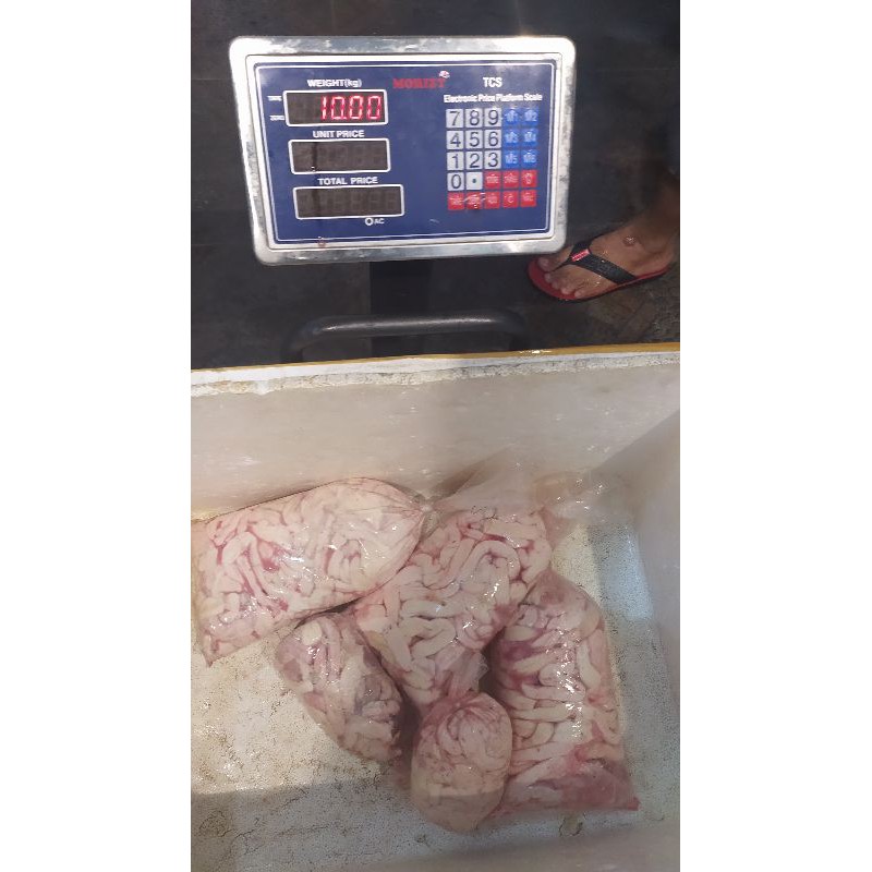 

supplier sumsum olor sapi murah Surabaya