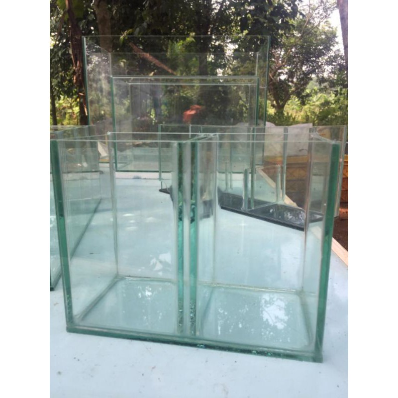 soliter sekat 2 soliter cupang aquarium ikan cupang