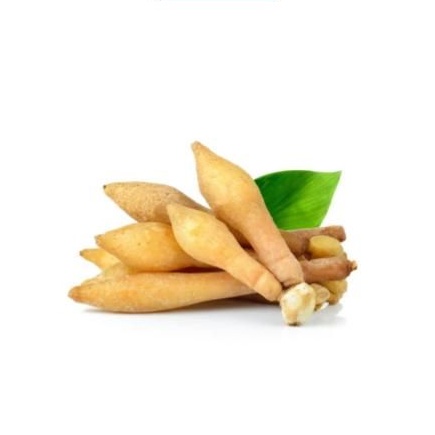 

[Shopee Segar] Temu Kunci 100 gr / Bumbu Rempah