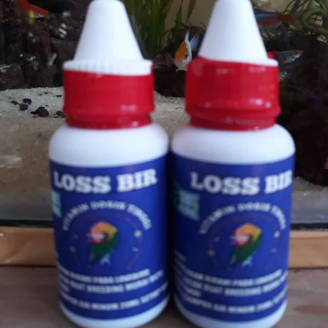 

LOSS BIRR