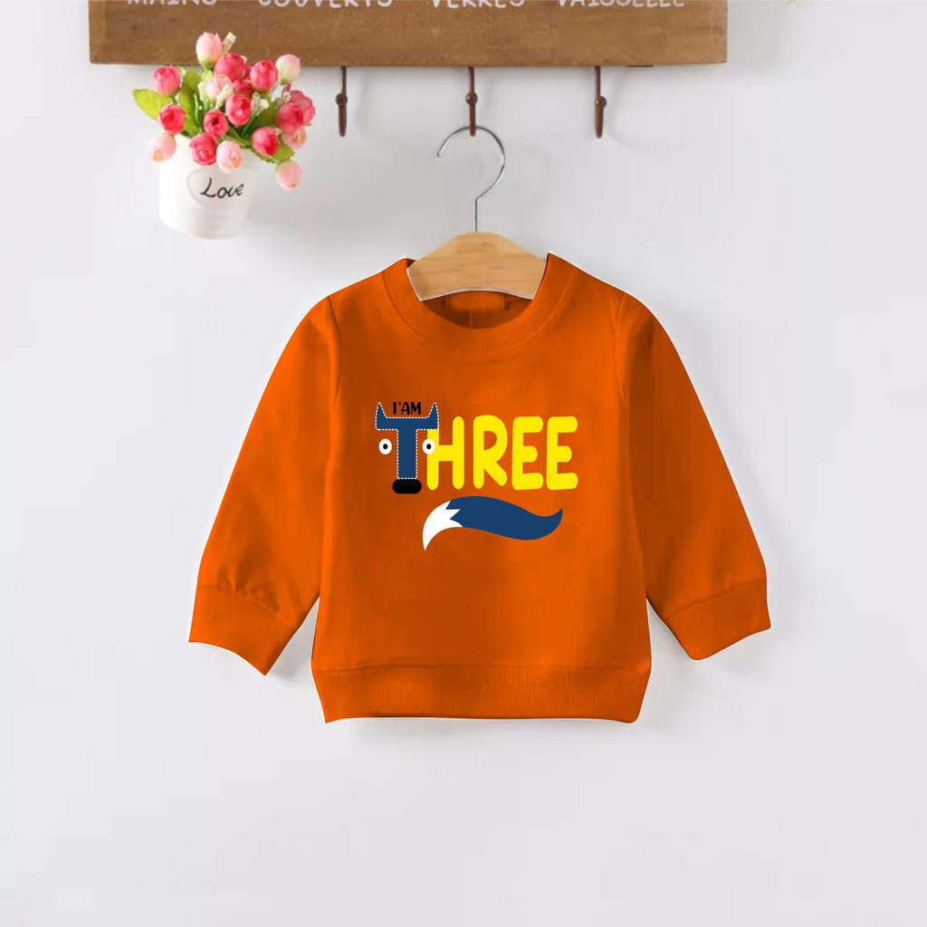 TokoMilkan - Sweater Anak Laki Laki Atau Perempuan COMBO Unur 1 - 6 Tahun Bahan Fleece