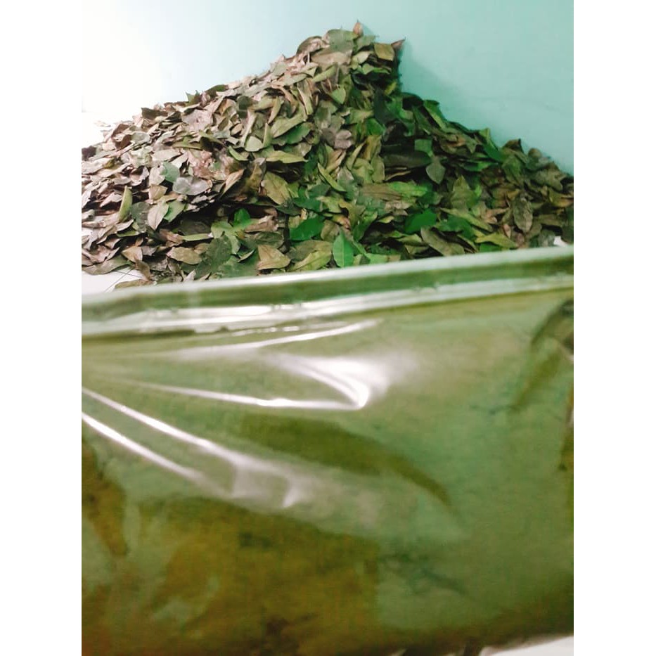 

Bubuk jamu Kunyit dan Daun Sirsak 1kg - ju493