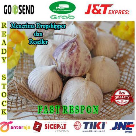 

[[BISA COD]] Bawang Putih Tunggal - Lanang Kualitas Premium 500Gram BOOM SALE Kode 532
