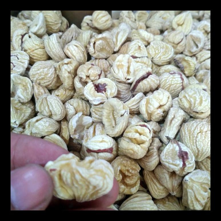 

BARU! KACANG LAKCI CHESTNUT 1/2 KG TERMURAH