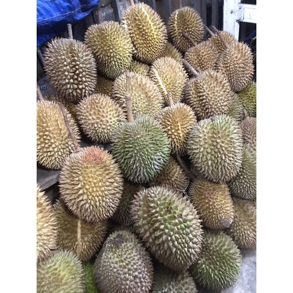 

durian kupas lokal