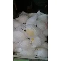 

Buah Pear - 500 Gram