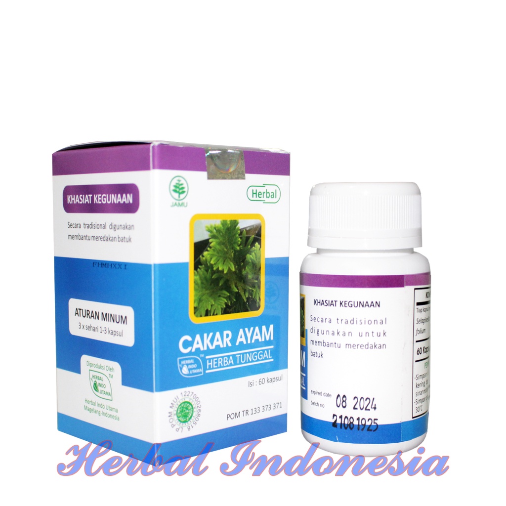 Kapsul Cakar Ayam HIU Isi 60 - Obat Sakit Tenggorokan - Herbal Cakar Ayam