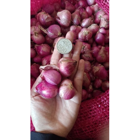 

Bawang Merah