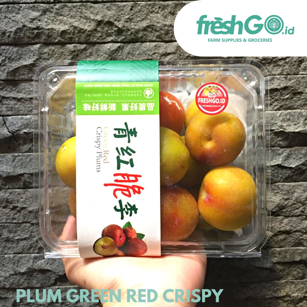

Plum Crispy Segar 500gr | FRESHGO