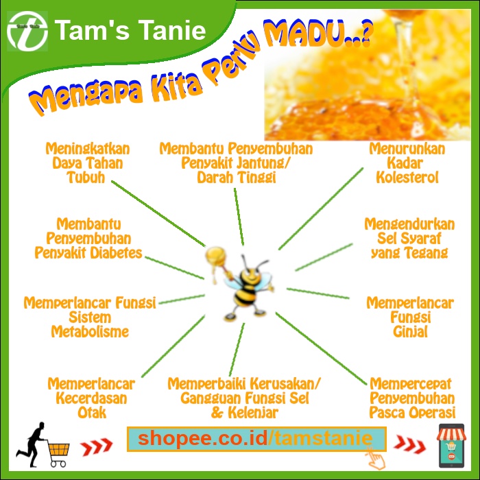 

Madu Pramuka Alami - Madu Kapuk 650 ml