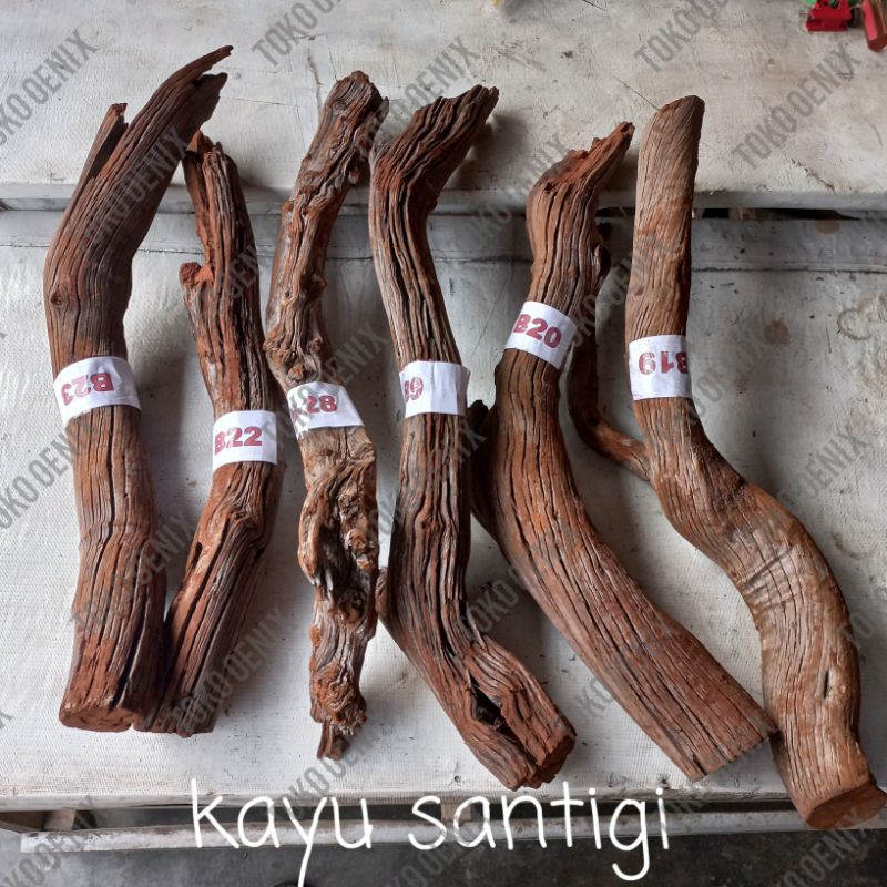 kayu santigi aquascape ukuran besar tank 60-90cm