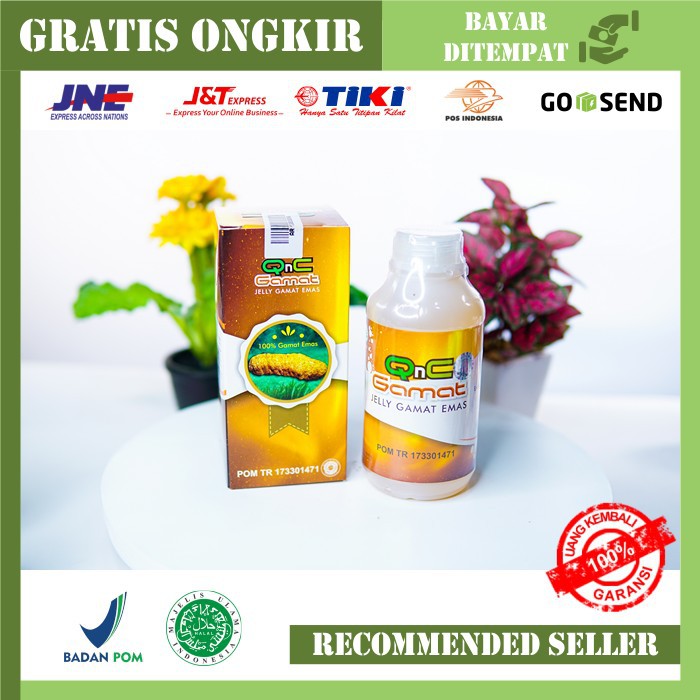 

QnC Jelly Gamat Obat Herbal Penyakit Stroke [Original/ 300 mL]
