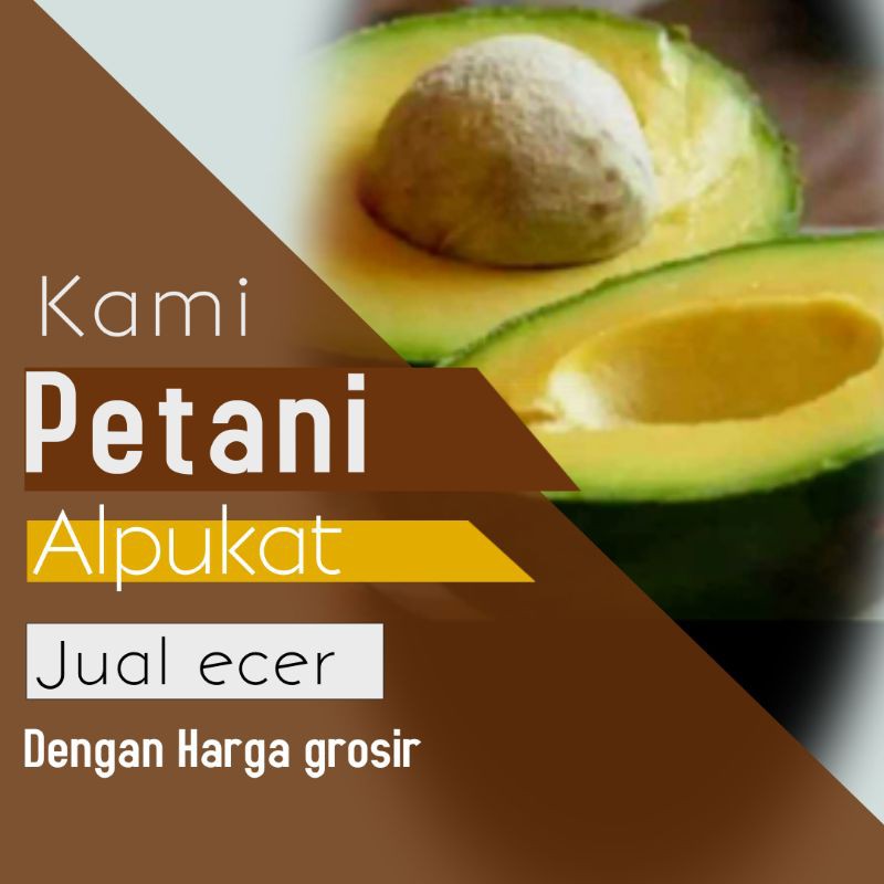 

ALPUKAT MENTEGA 1Kg 100% Fresh | Buah Alpuket Buah Alpokat