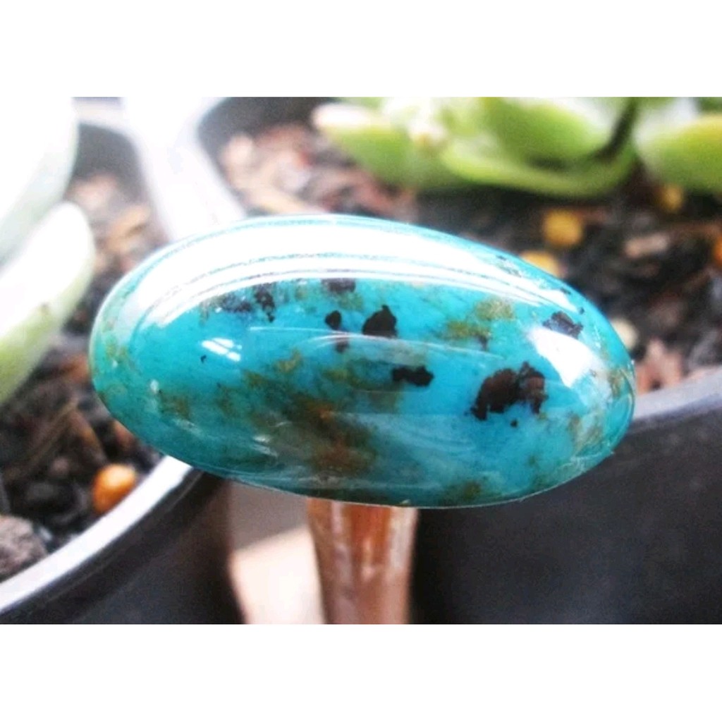 BACAN DOKO bacan majiko bacan totol bacan super bacan murah bacan natural batu bacan size jumbo 29mm