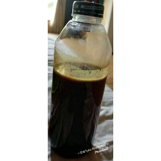 Madu asli kalimantan