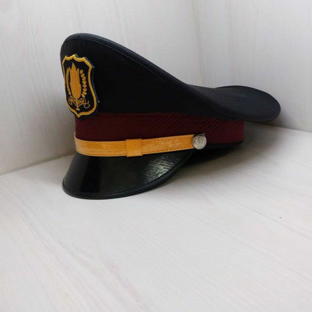 Topi Pet PDH Security