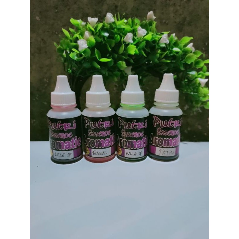 Essen oplosan ikan patin