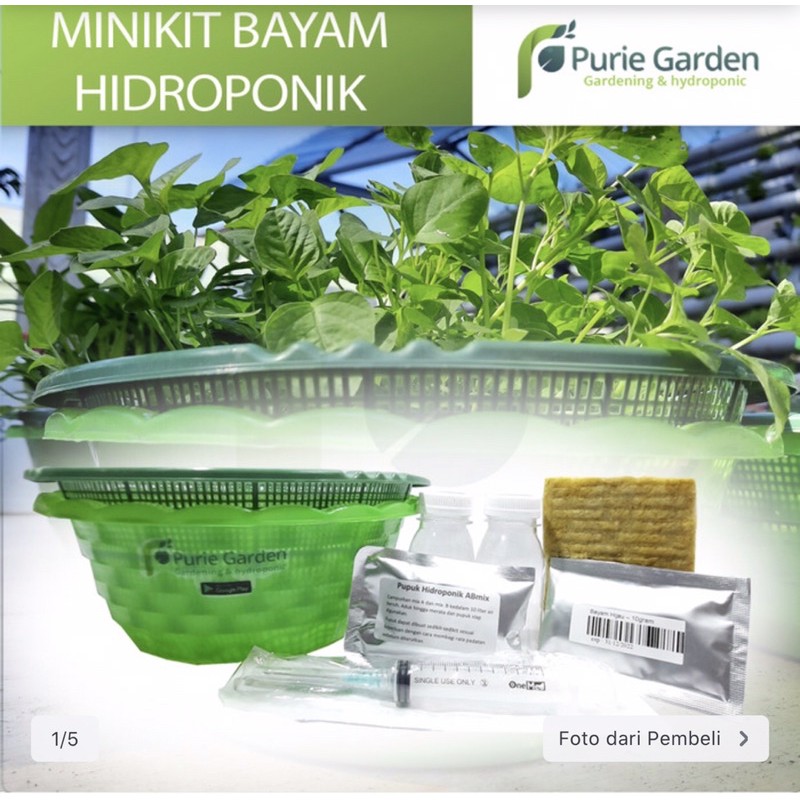 Mini Kit Bayam hidroponik / paket pemula Hidroponik bayam
