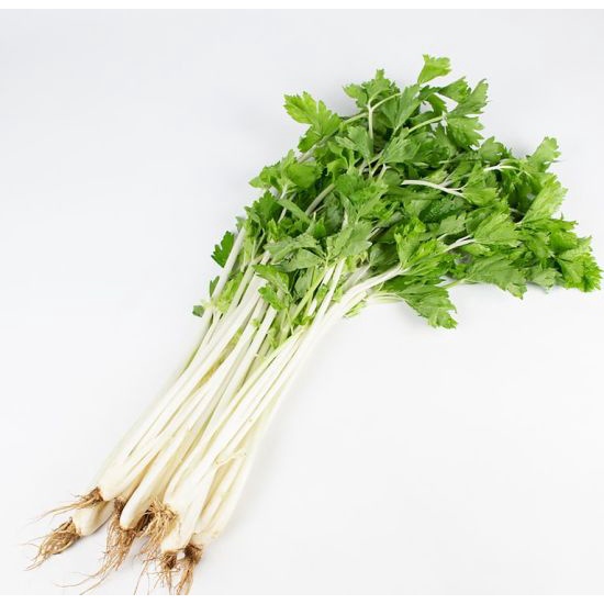 Benih Bibit Biji - Chinese White Celery Seledri Batang Putih Seeds - IMPORT