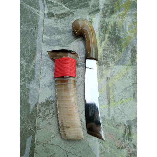 GOCIL FULL TANDUK KERBAU BULE 15CM