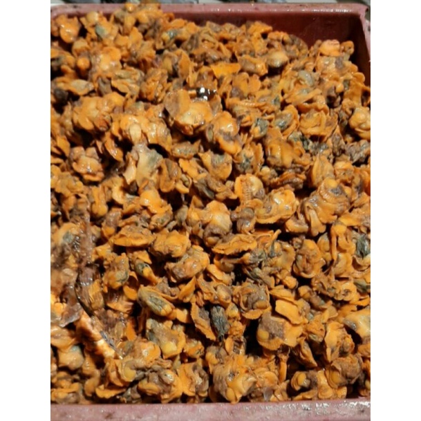 

kerang dara, bulet/250grm