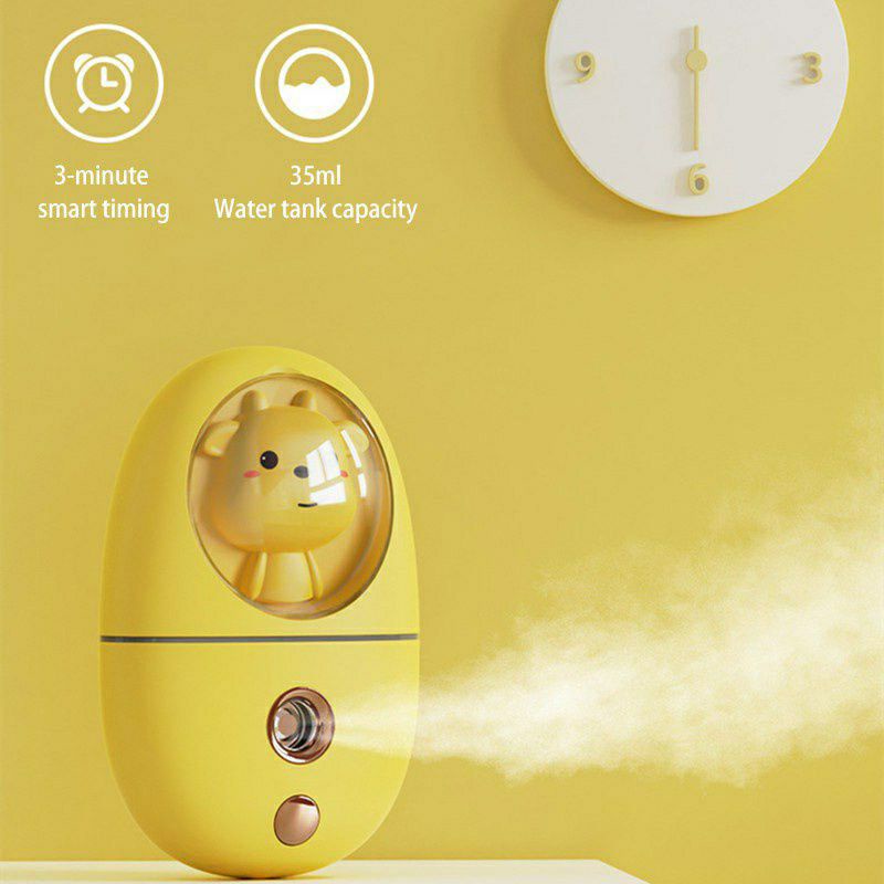 Cute Mini Nano Face Steamer 2021 35ML Cold Spray Mist Sprayer