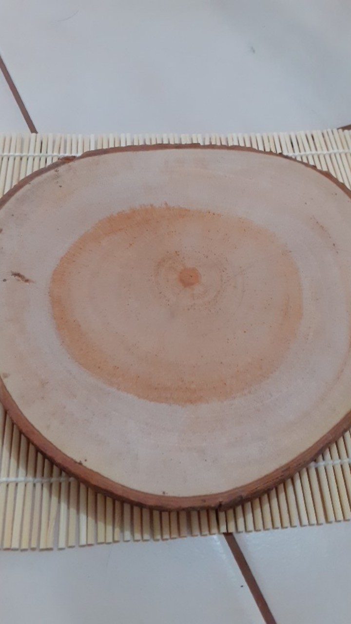 Bondarts Wood Slice Size 35 S/d 44 Cm | Irisan Kayu Mahoni | Talenan Dekorasi