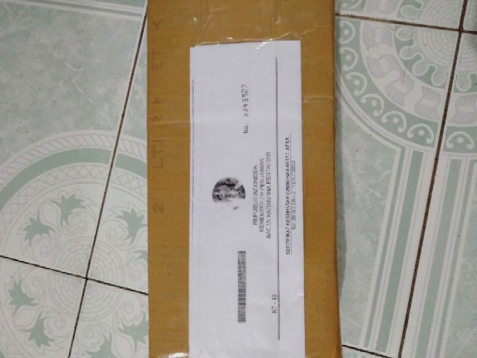 Tanaman Hias Crossandra