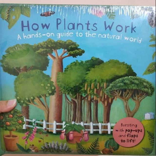 How plants work