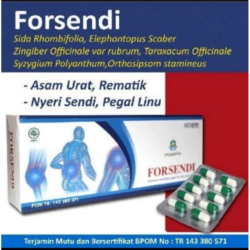 FORSENDI OBAT HERBAL REMATIK ASAM URAT NYERI SENDI