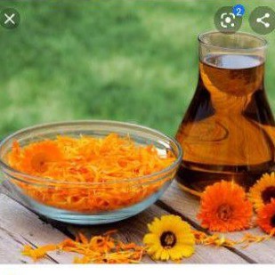 

calendula flowers tea tisane