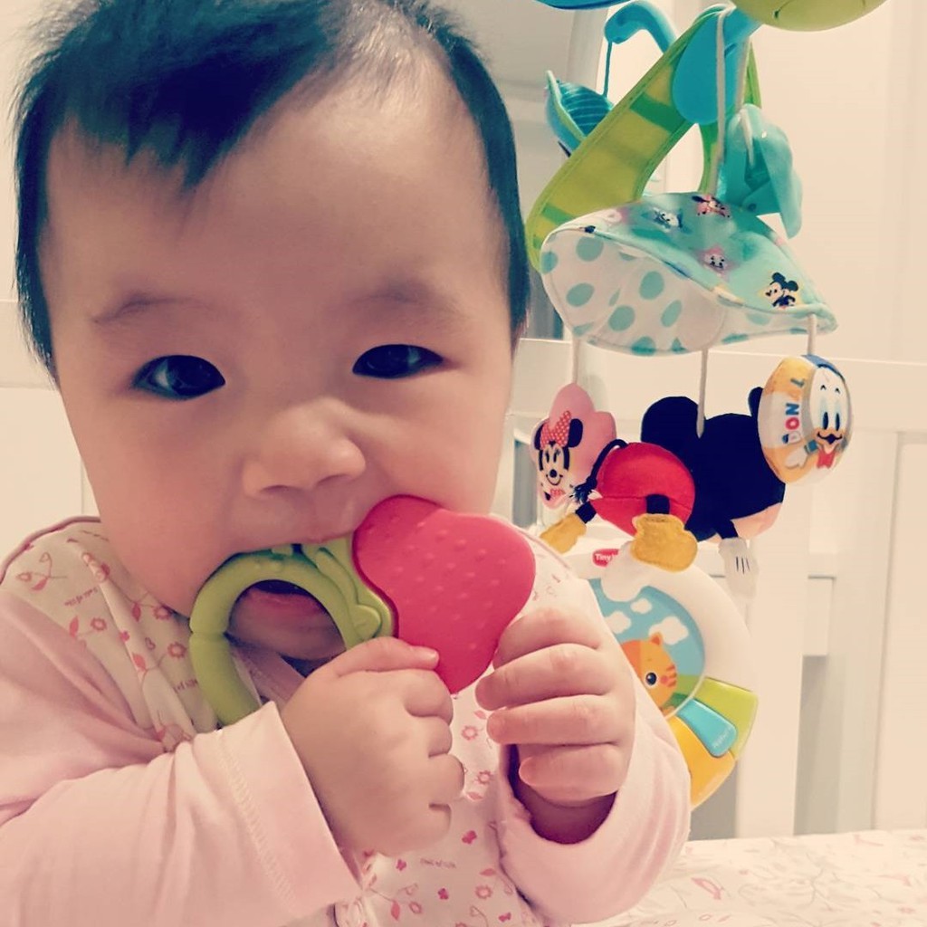 Ange Strawberry Teething Ring Mainan Gigitan Bayi Bentuk Buah