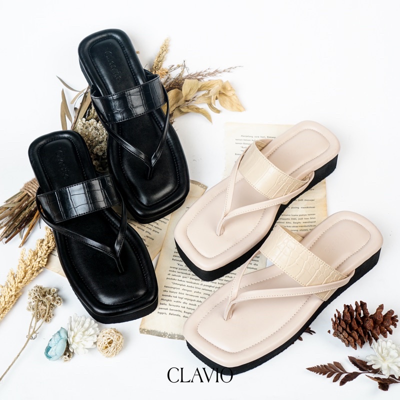 CLAVIO Elina Platform