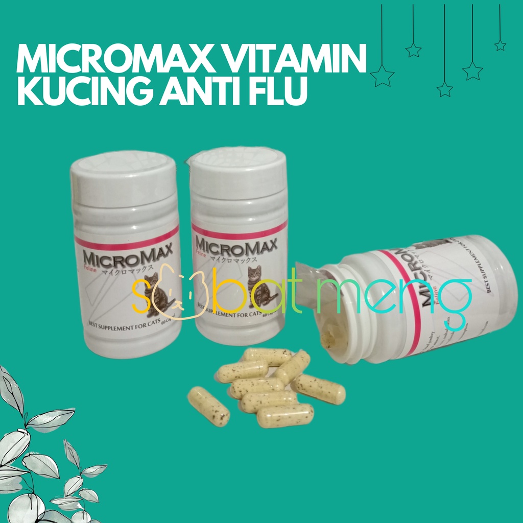 VITAMIN KUCING ANTI FLU MICROMAX FELINE | MICROMAX FELINE | VITAMIN FLU/PILEK