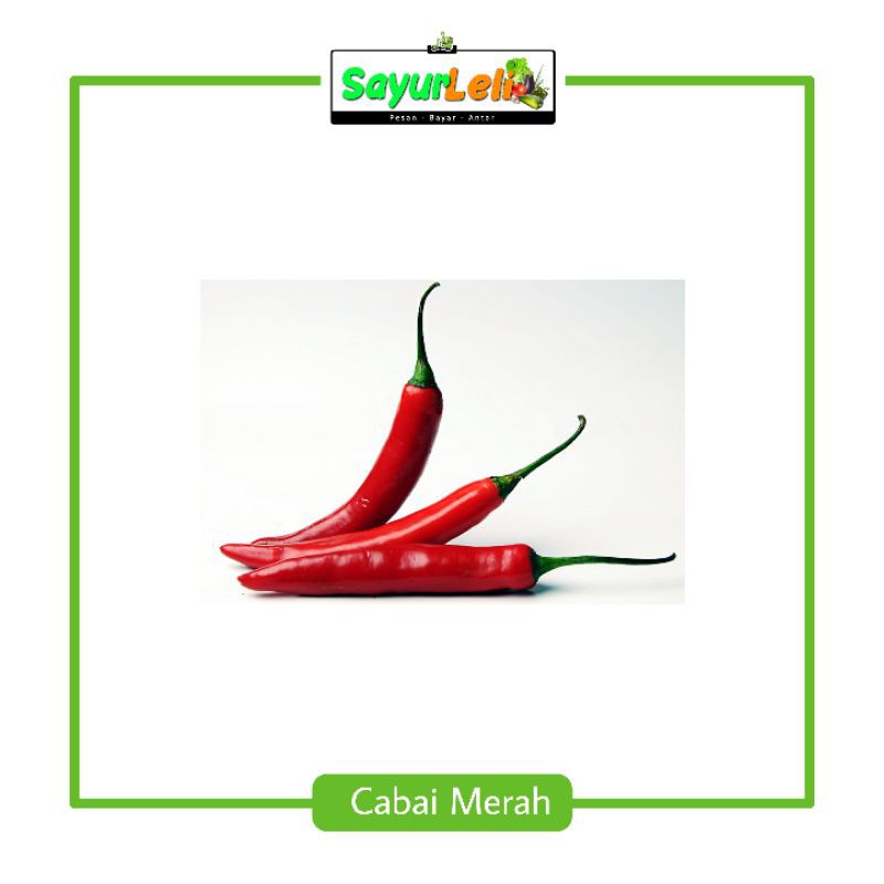

CABAI MERAH