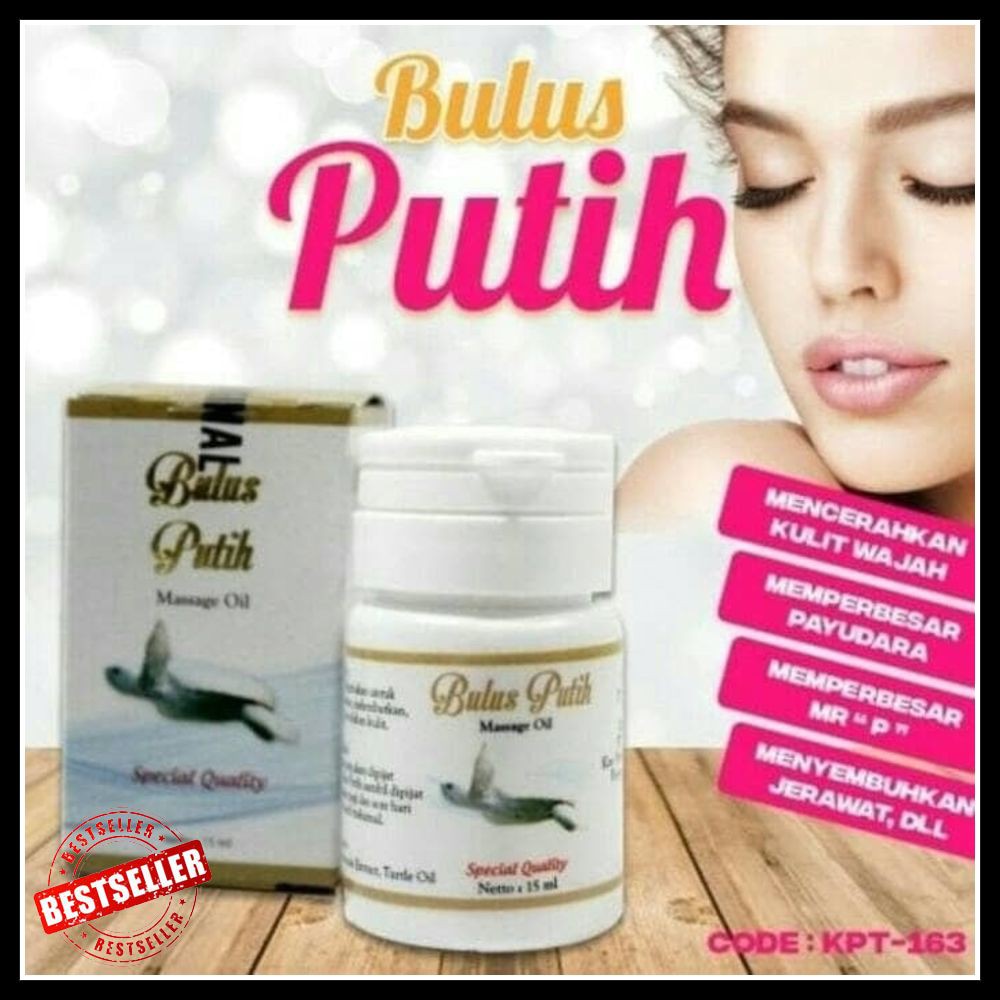 [BPOM] Bulus Putih Massage Oil / Minyak Bulus BPOM Original