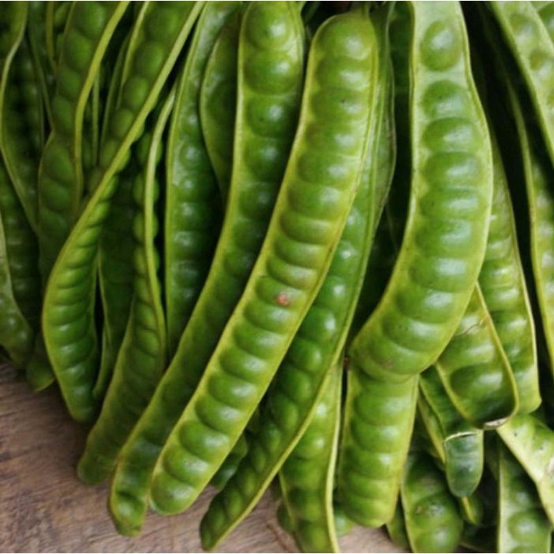 

petai tua dan segar dijual per lonjor/papan . harga murah