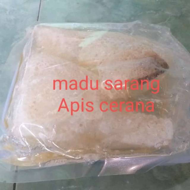 

Madu sarang apis cerana