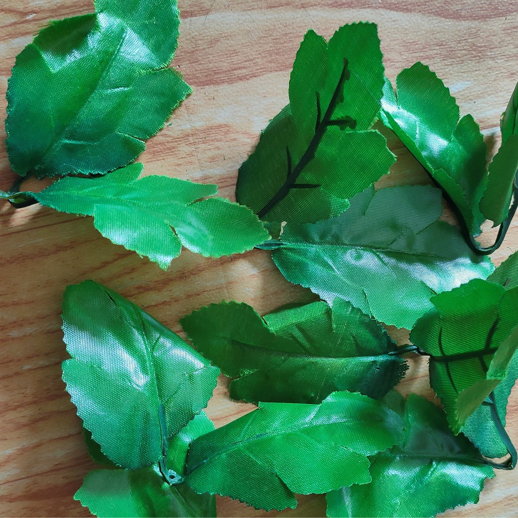 daun untuk seserahan