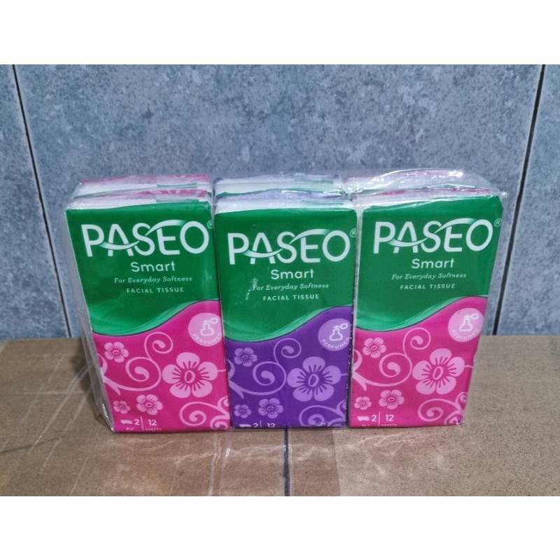 Paseo Tisu Kecil Hanky 1 Pack