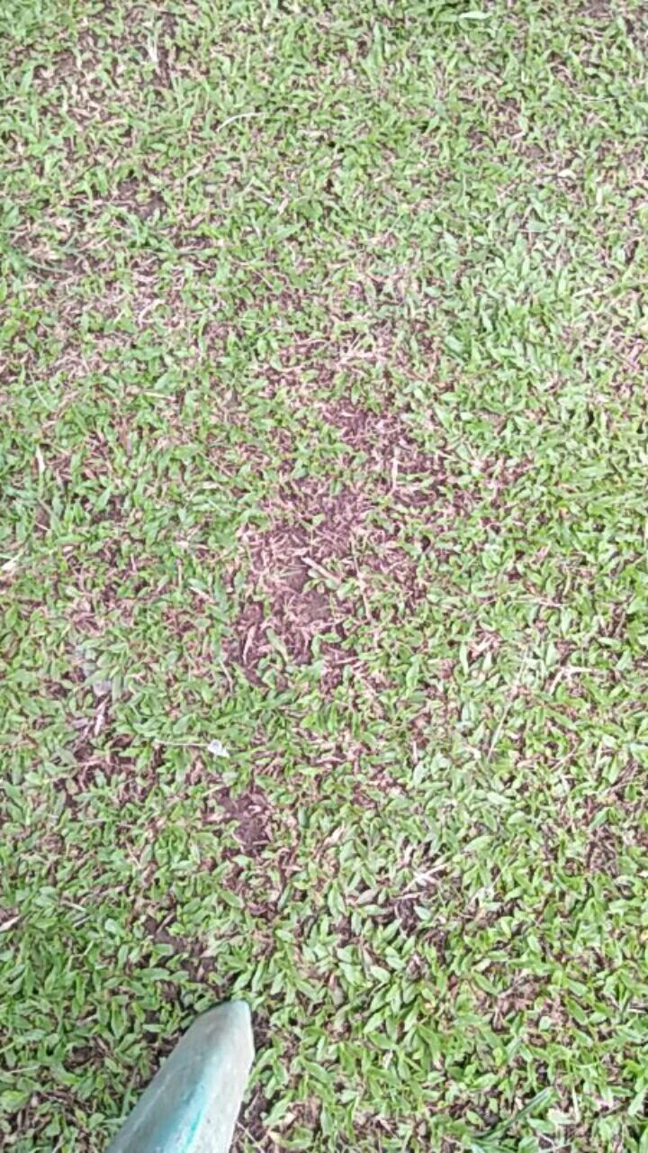 Cetakan Es Krim Silikon Stik Es Krim Cetakan Ice Cream Popsicle Cetakan Coklat Bpa Free