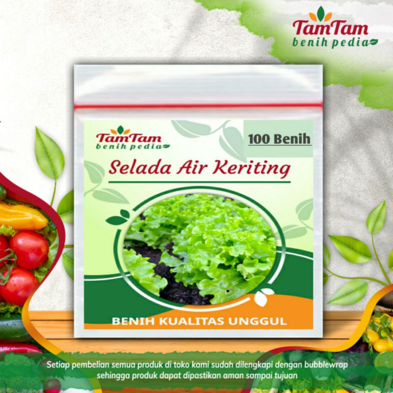 BENIH SELADA AIR KERITING/ (isi 100 benih)