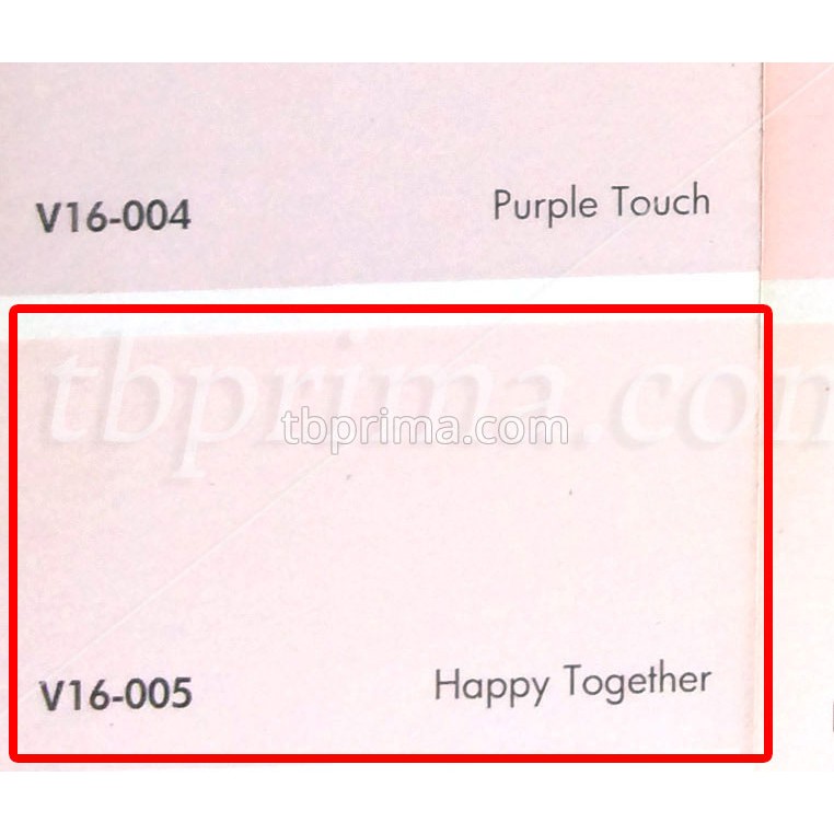 No Drop Tinting V16-005 Happy Together 4 kg