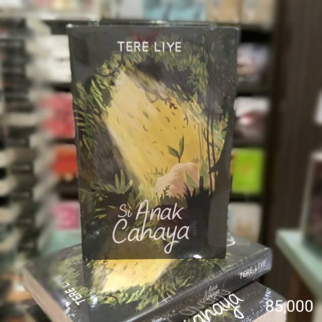 Si Anak Cahaya Novel Tere Liye