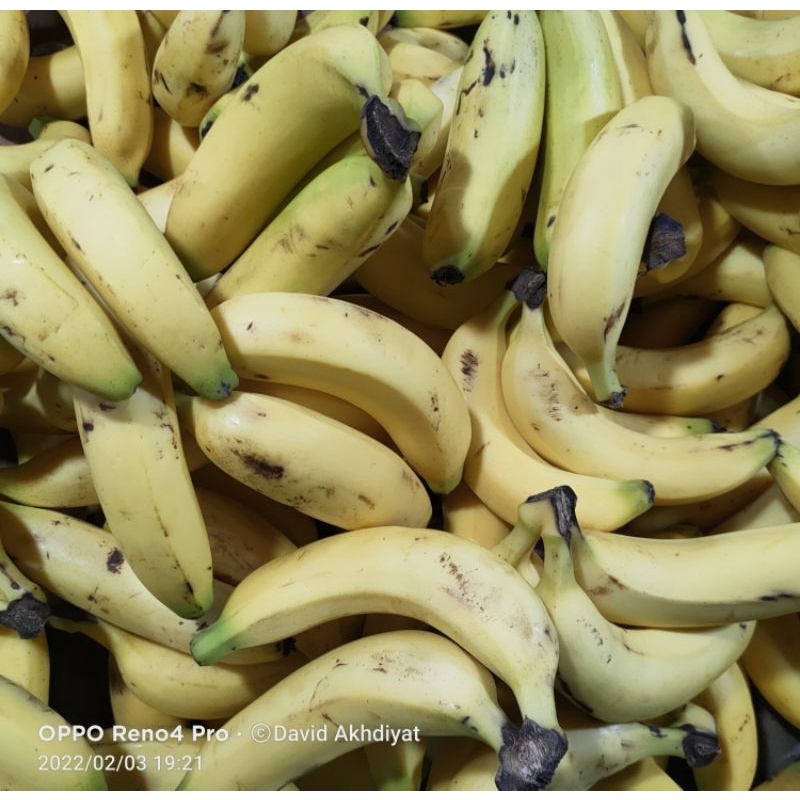 

Pisang kiloan mengkel TERMURAH