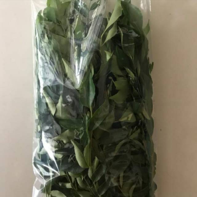

Daun kari segar