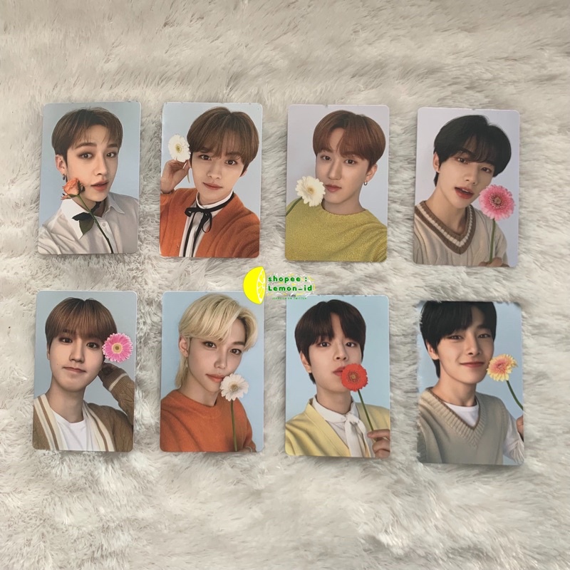 Sharing PC Photocard Nacific R10 stray kids skz | Changbin