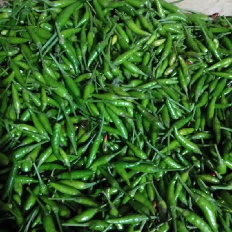 

cabai rawit hijau (ijo)