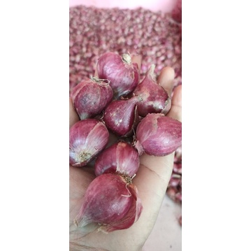 

Bawang merah brebes