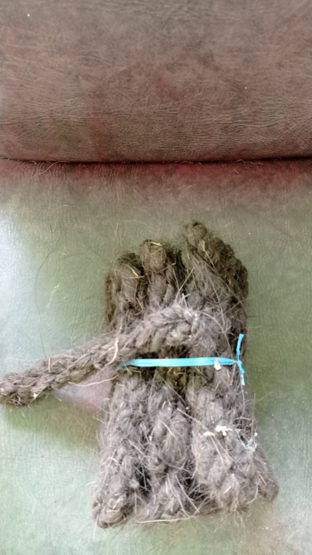 Tali Ijuk Pengikat Anggrek Bambu Gazebo Per Ikat